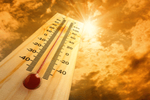 Here's How You Can Prevent Heat Gain in Your Home