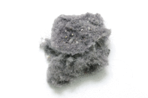 How Dust Mites Affect Your Indoor Air Quality