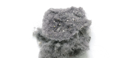 How Dust Mites Affect Your Indoor Air Quality