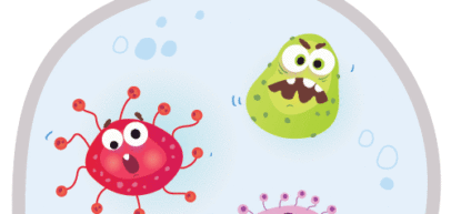 Ways to Control Pollutants in Your Household