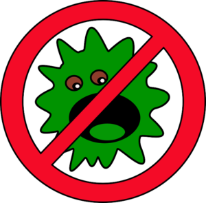 Rid Your Home of Bacteria and Mold