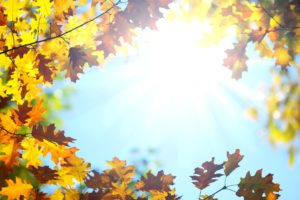 Fall Indoor Air Quality Concerns in Corpus Christi