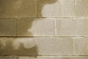 basement dehumidifier