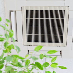 air purification, indoor air quality services